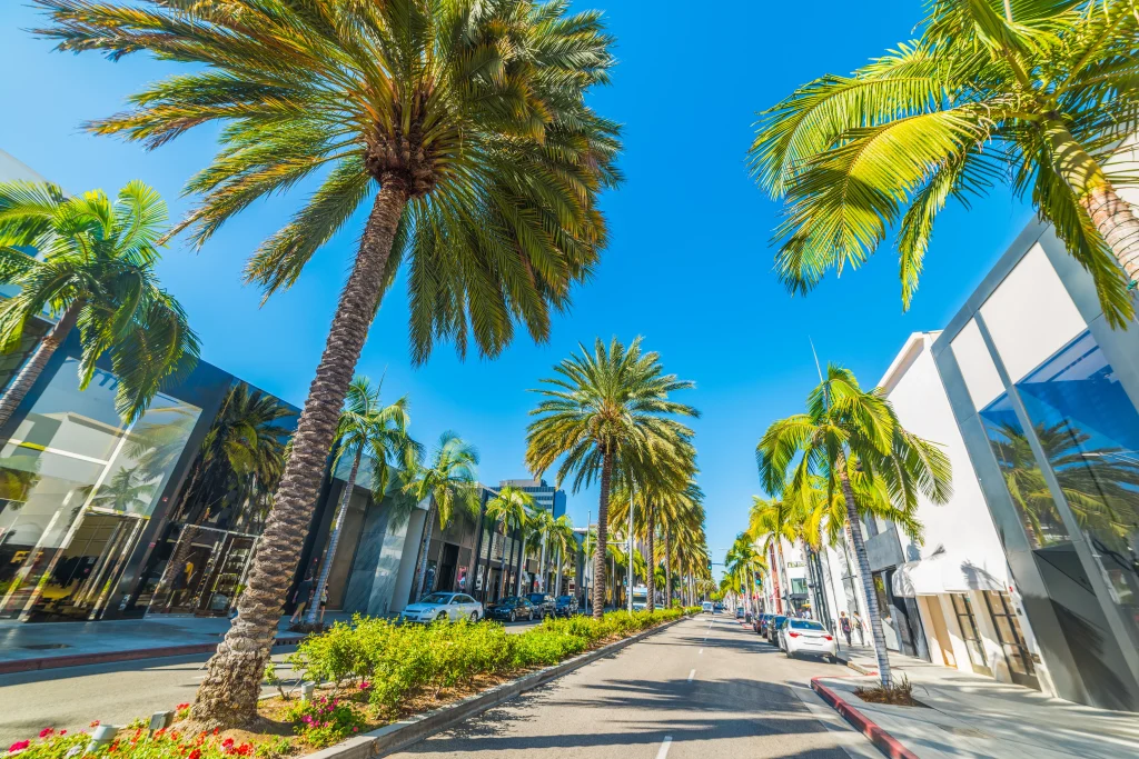 Get Started with Managed IT Services in Beverly Hills